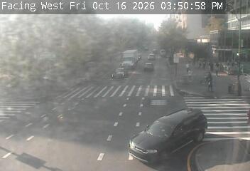 Malcolm X Blvd/Lenox Ave @ 110 St/CPN